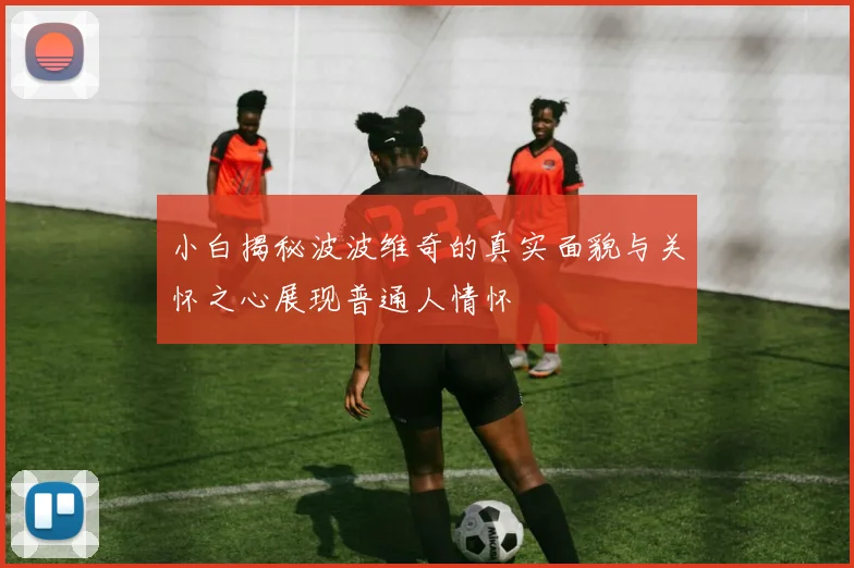 小白揭秘波波维奇的真实面貌与关怀之心展现普通人情怀