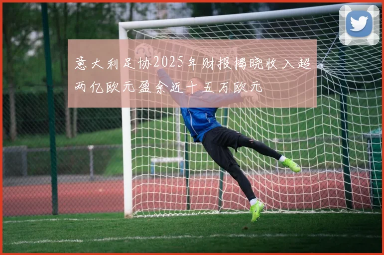 意大利足协2025年财报揭晓收入超两亿欧元盈余近十五万欧元